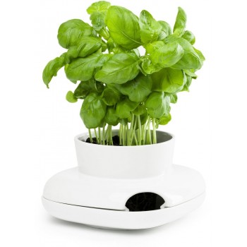 Горшок для зелени Herb малый, H 2 см, L 27,5 см, W 4 см, керамика, серия Herbs and spices, SAGAFORM