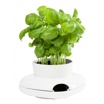 Горшок для зелени Herb большой, D 16 см, H 10 см, керамика, серия Herbs and spices, SAGAFORM