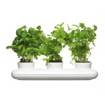 Горшок для зелени Herb тройной, H 13,5 см, L 48 см, W 19 см, керамика, серия Herbs and spices, SAGAFORM