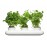 Горшок для зелени Herb тройной, H 13,5 см, L 48 см, W 19 см, керамика, серия Herbs and spices, SAGAFORM
