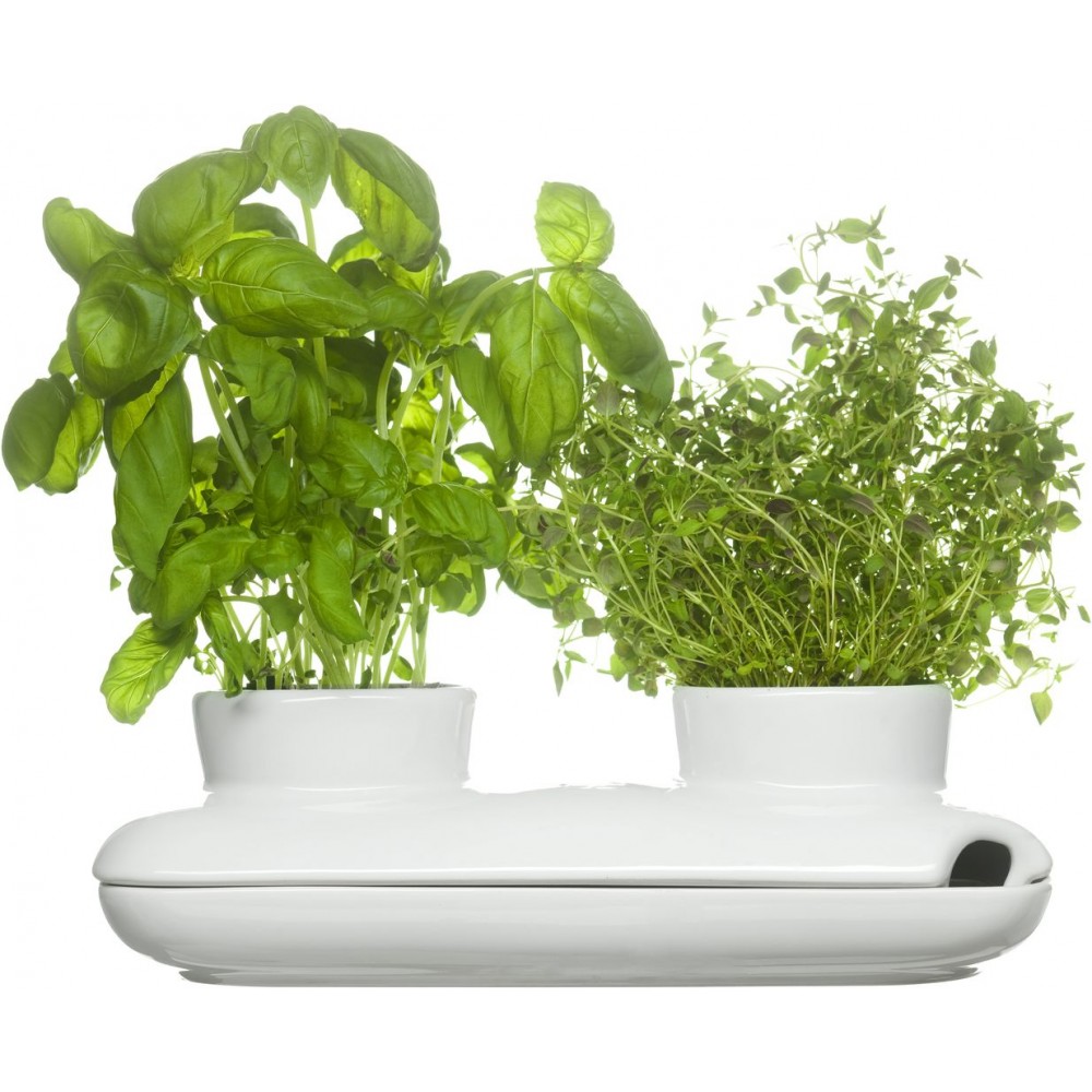 Горшок для зелени Herb двойной, H 12 см, L 26 см, W 7 см, керамика, серия Herbs and spices, SAGAFORM