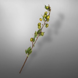 Ветка фруктовая, SILK-KA