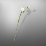 Василек, SILK-KA