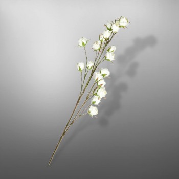 Роза, SILK-KA