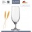 Бокал CLASSICO для пива, 370 мл, SCHOTT ZWIESEL