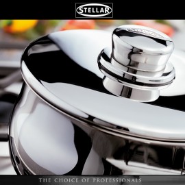 Антипригарная сковорода-сотейник STELLAR 1000 с покрытием Greblon, 24 см, сталь 18/10, STELLAR